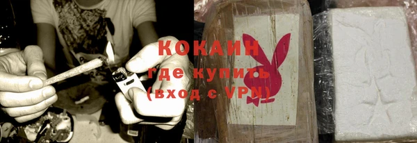 дживик Покров