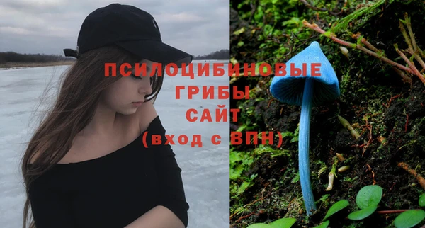 трава Алзамай