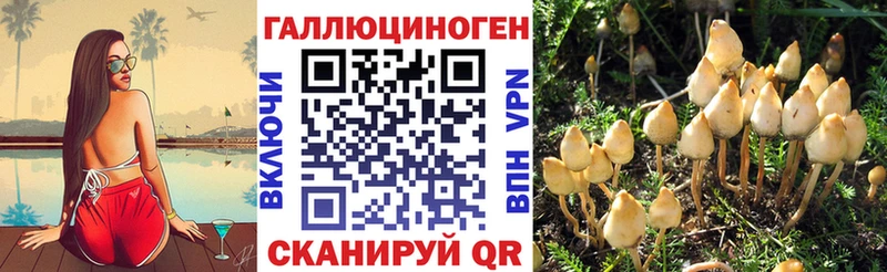 Псилоцибиновые грибы ЛСД  Всеволожск 